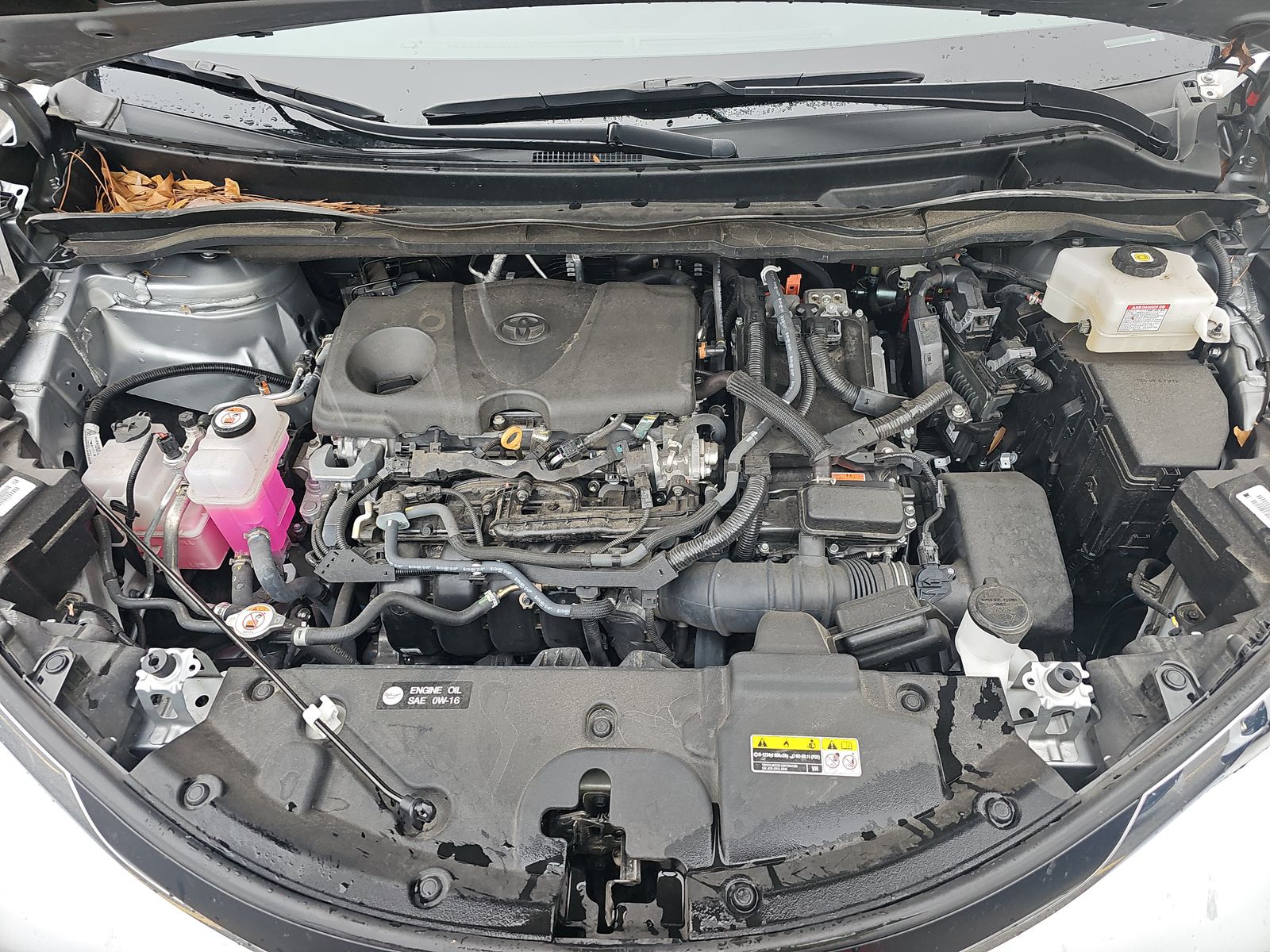 2024 Toyota Sienna LE FWD