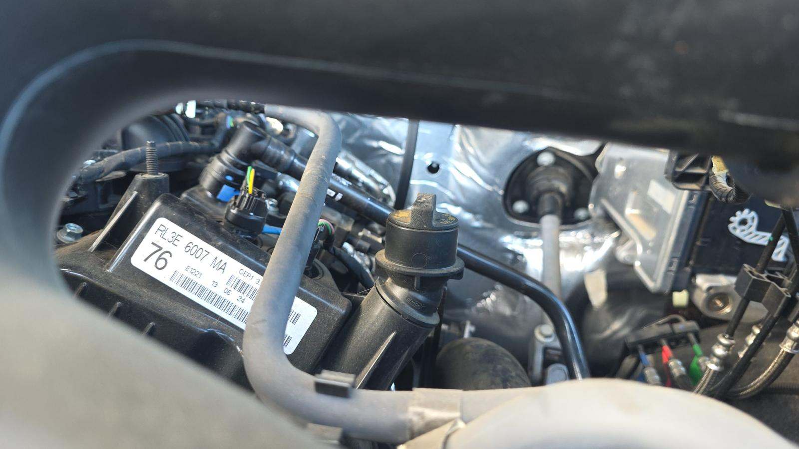 2024 Ford F-150 XLT RWD