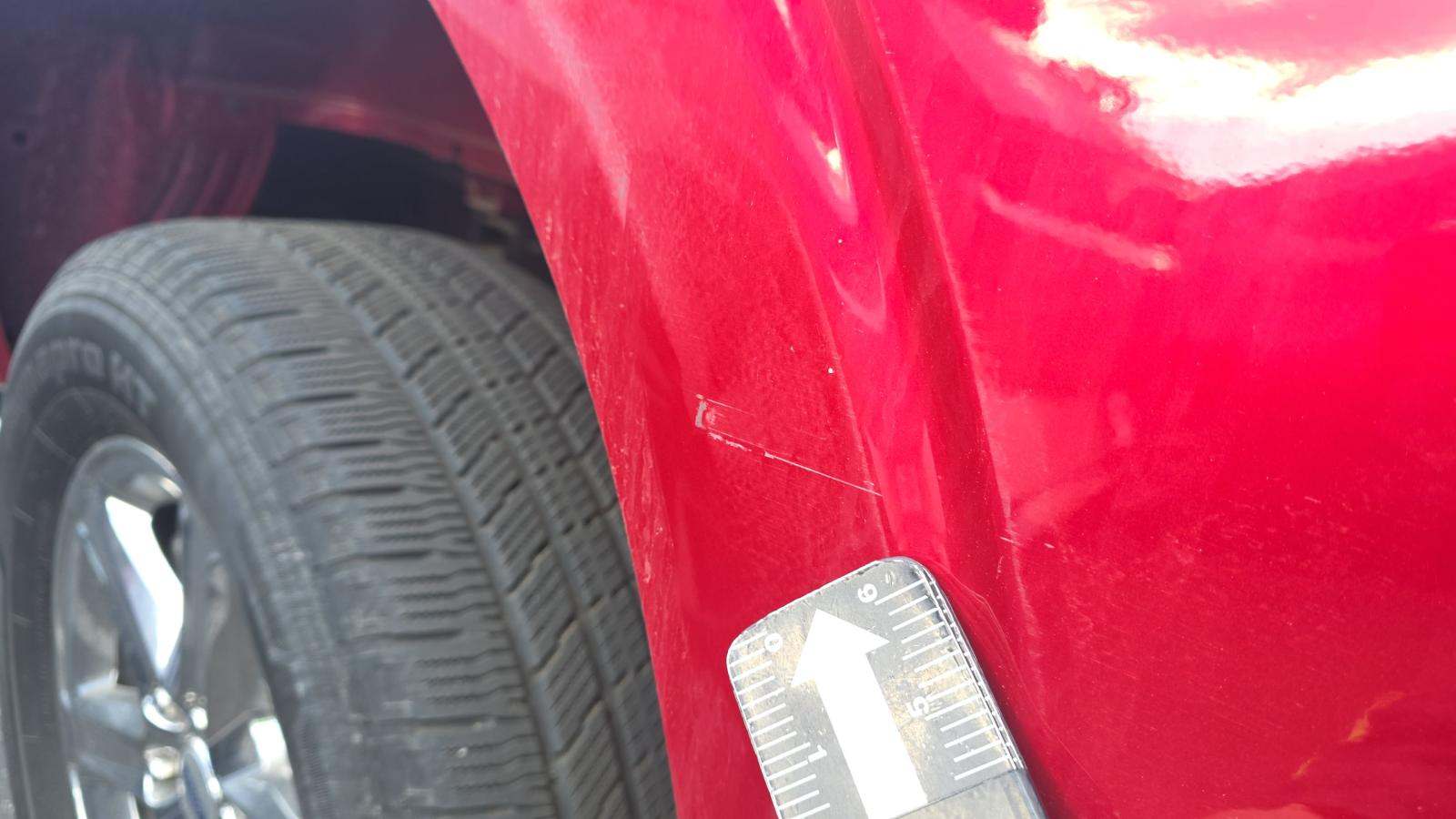 2024 Ford F-150 XLT RWD