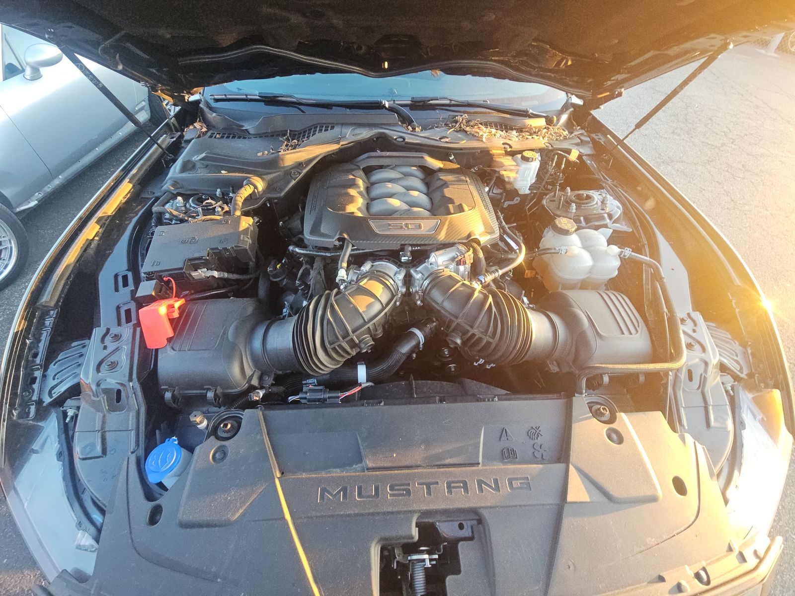 2025 Ford Mustang GT Premium RWD