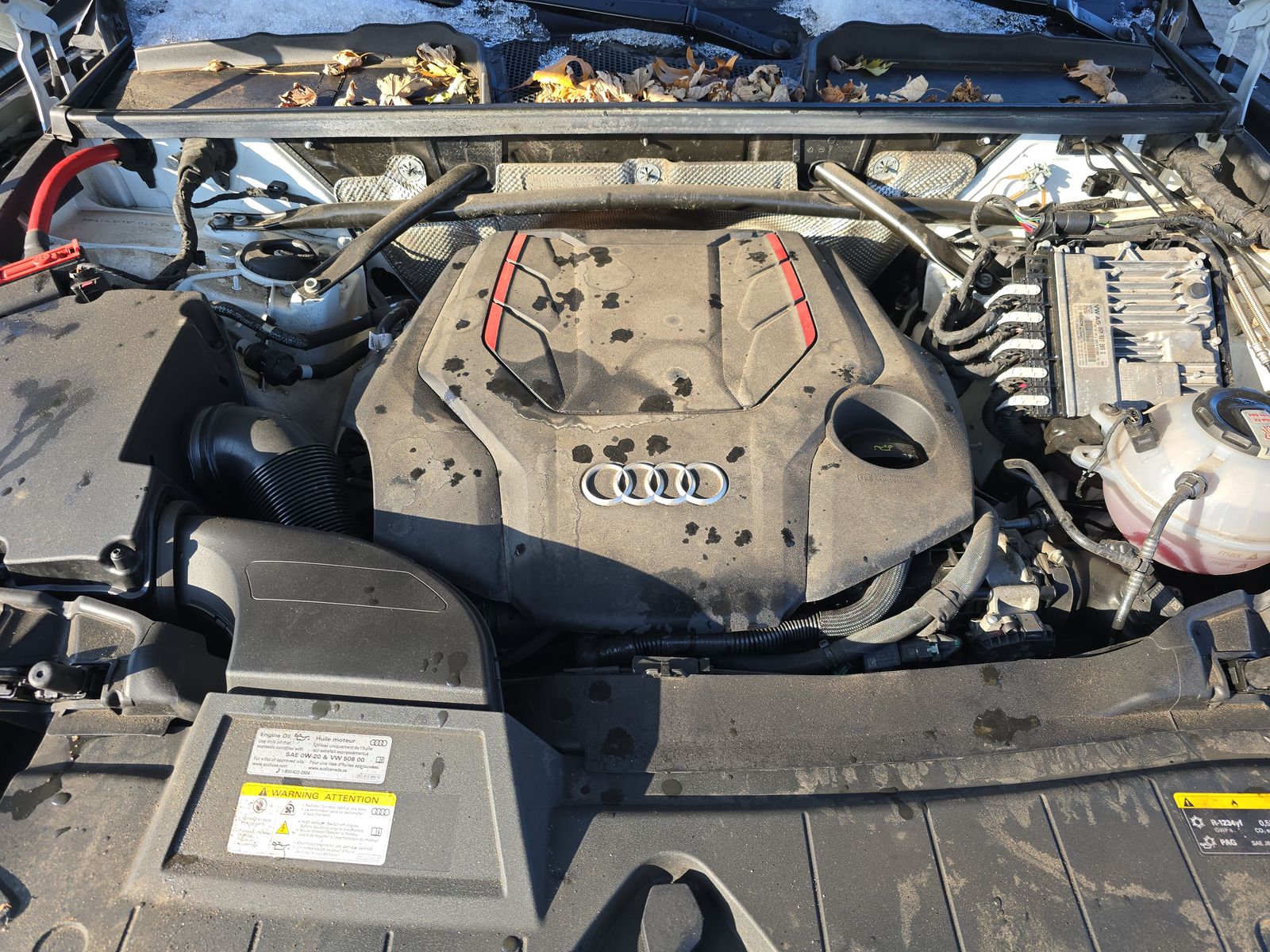 2023 Audi SQ5 Prestige AWD