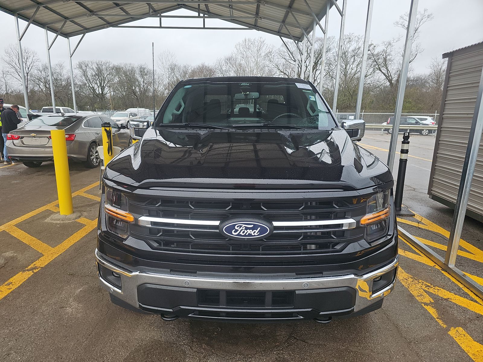 2024 Ford F-150 XLT AWD