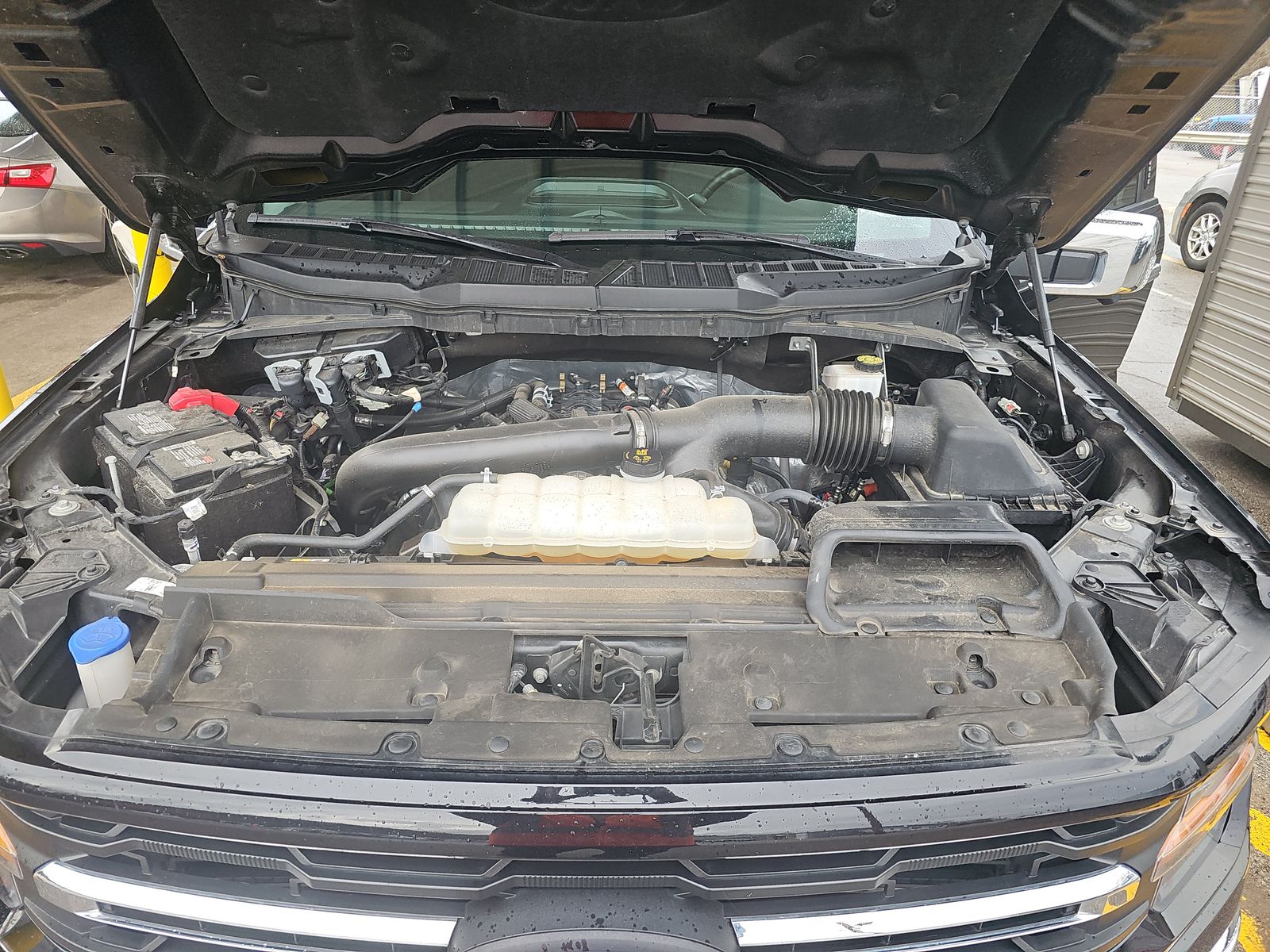 2024 Ford F-150 XLT AWD