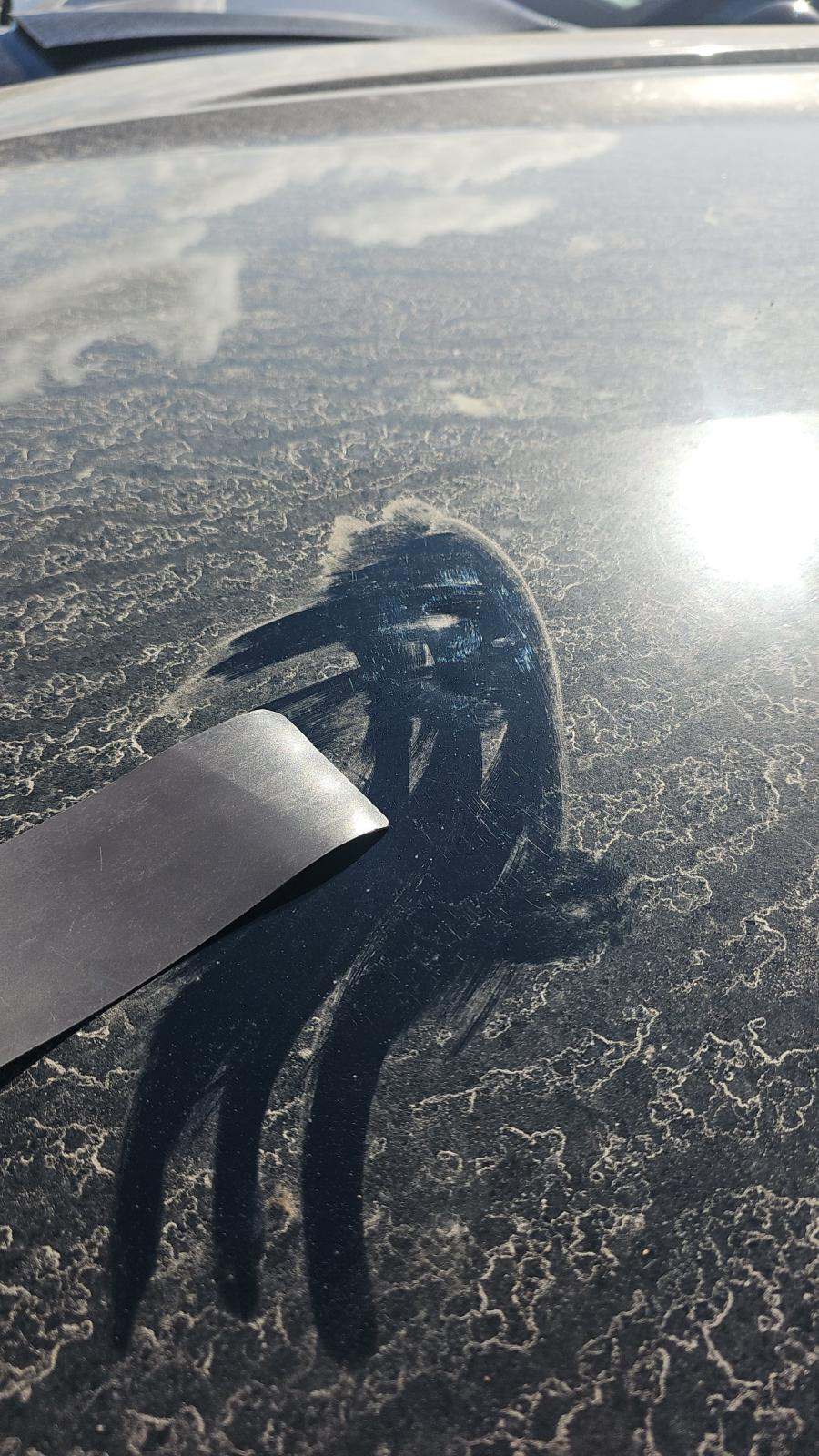 2023 Cadillac Escalade Sport Platinum AWD