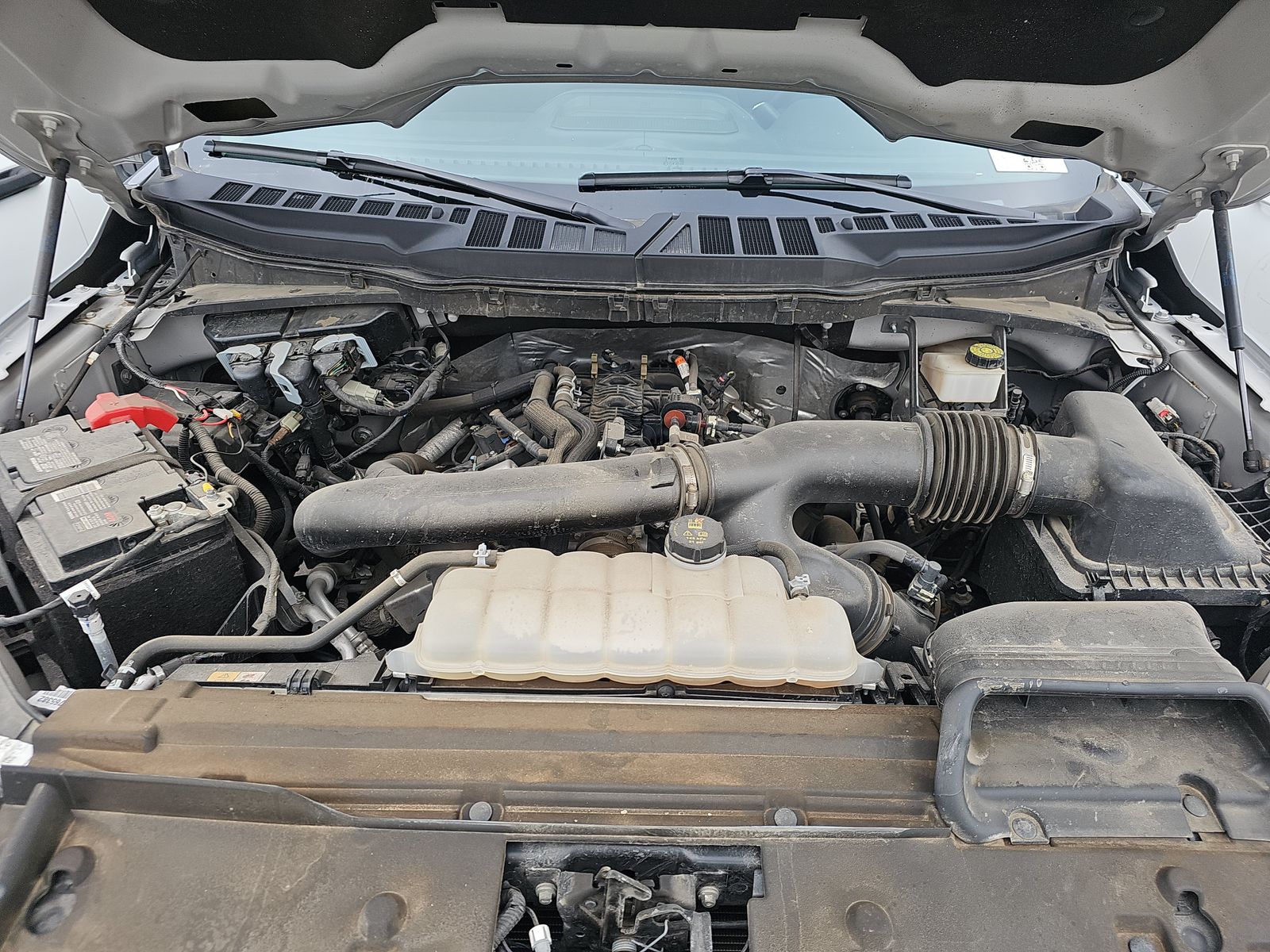 2024 Ford F-150 XLT AWD