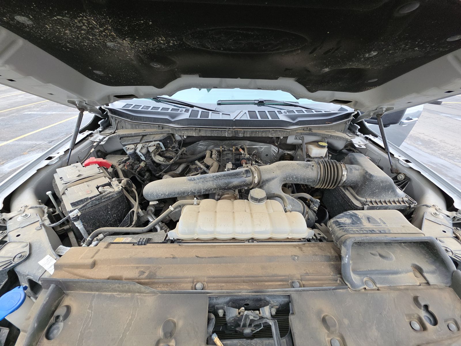 2024 Ford F-150 XLT AWD