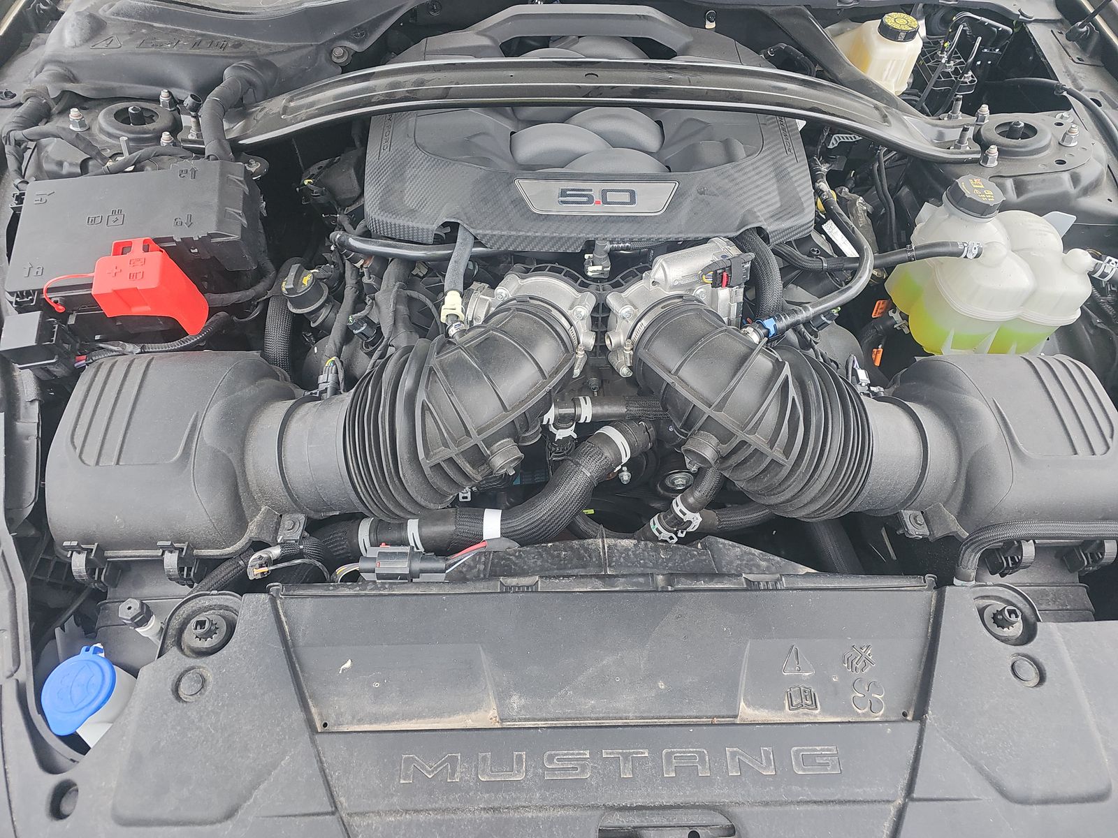 2024 Ford Mustang GT Premium RWD