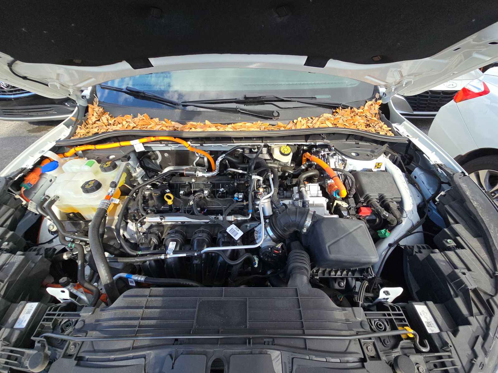 2025 Ford Escape Hybrid ST-Line FWD