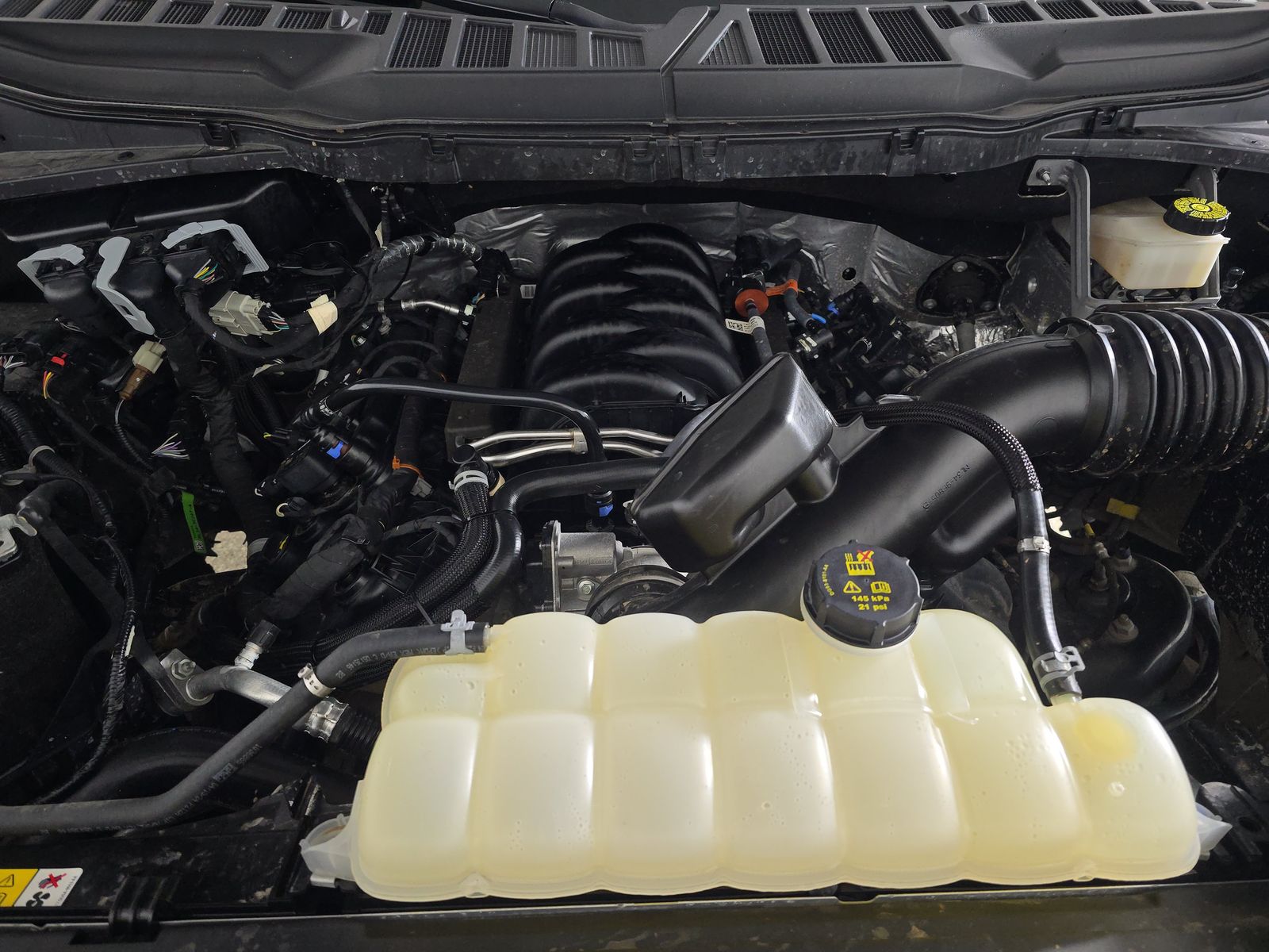 2024 Ford F-150 XLT AWD