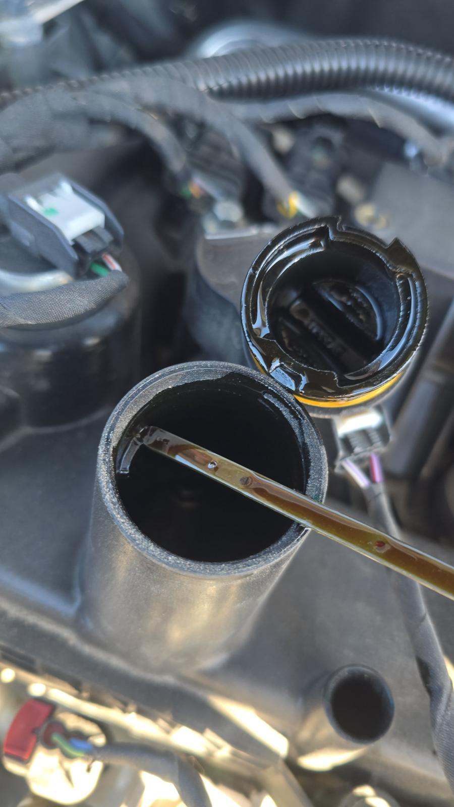 2025 Ford Escape Hybrid ST-Line Elite AWD