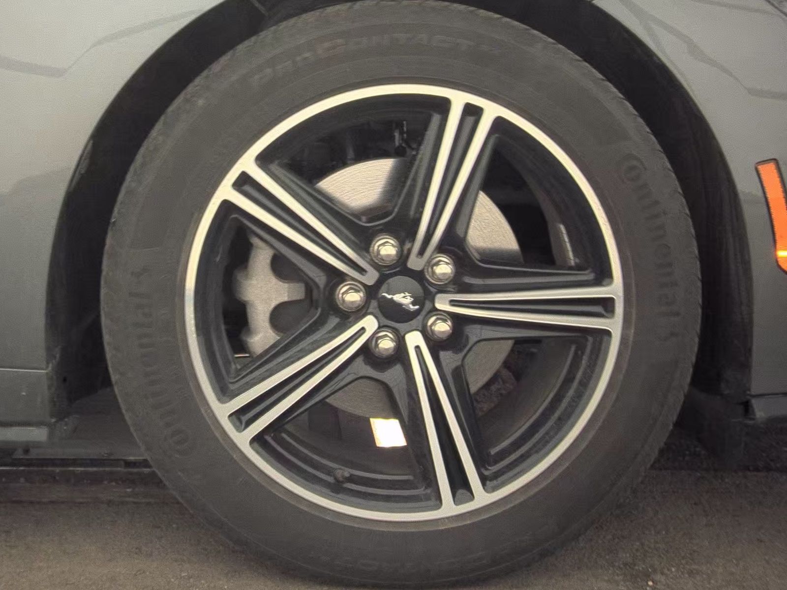 2025 Ford Mustang EcoBoost Premium RWD