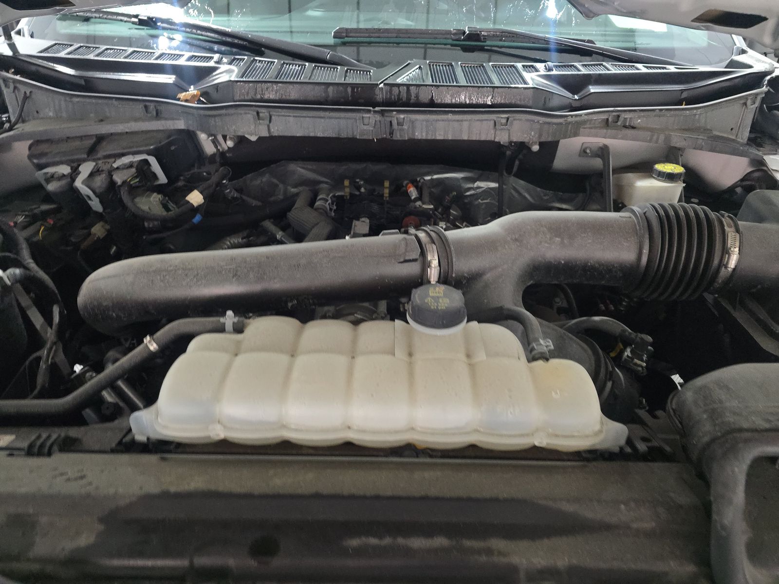 2024 Ford F-150 XLT AWD