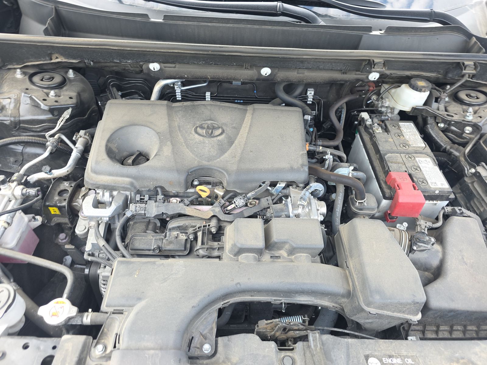 2024 Toyota RAV4 LE AWD