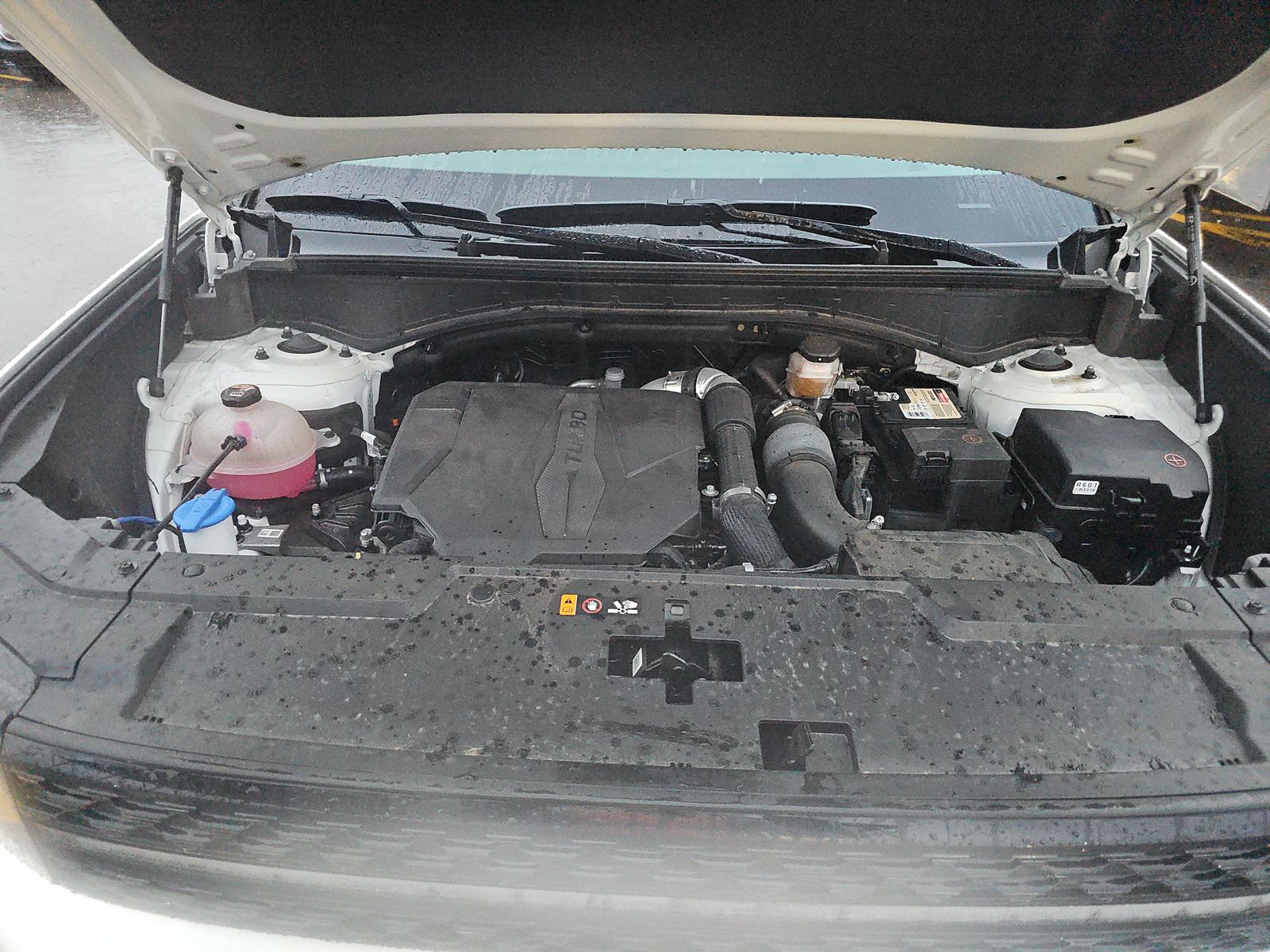 2024 Hyundai Santa Fe Calligraphy AWD