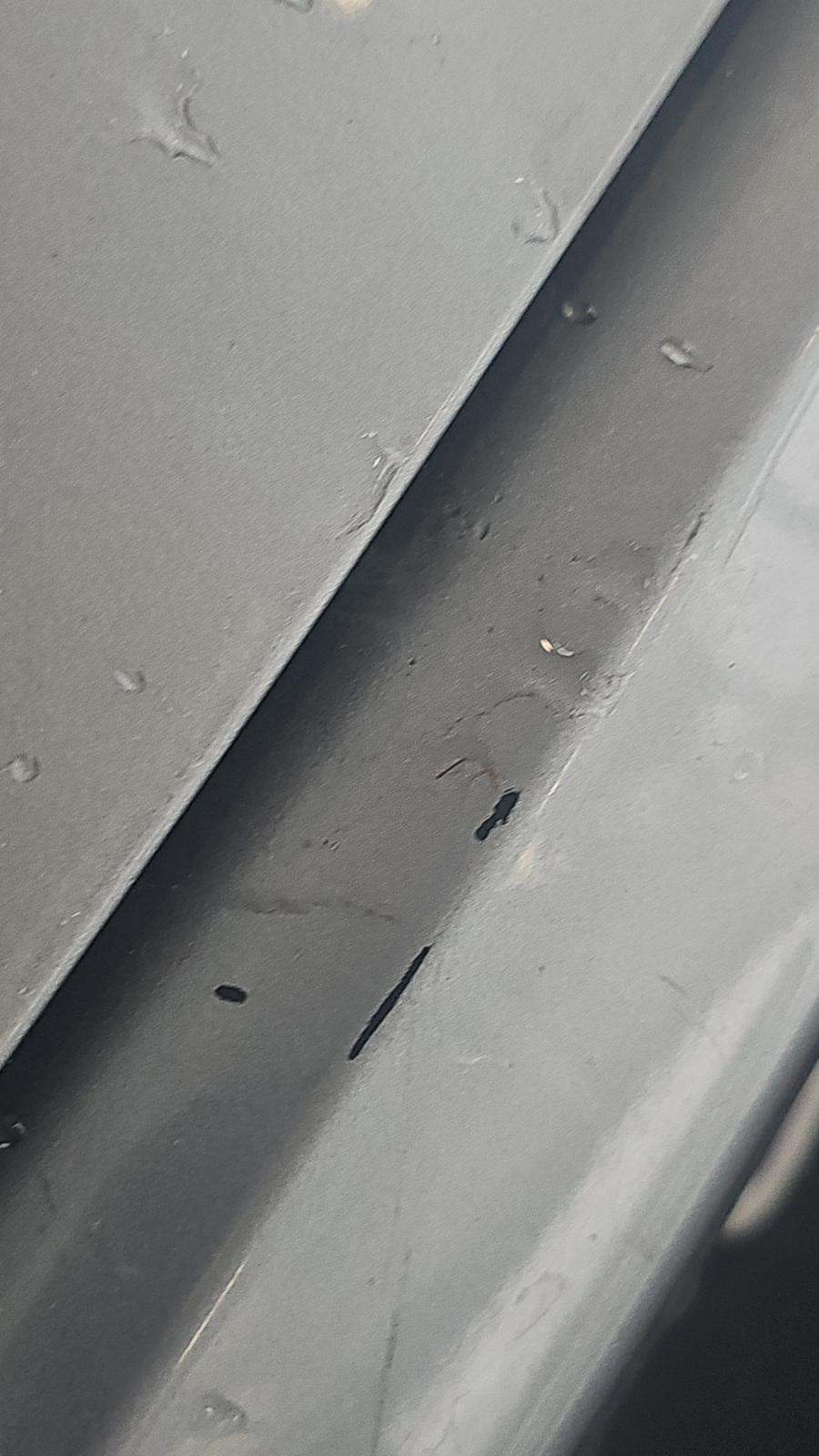 2024 Ford Mustang EcoBoost Premium RWD