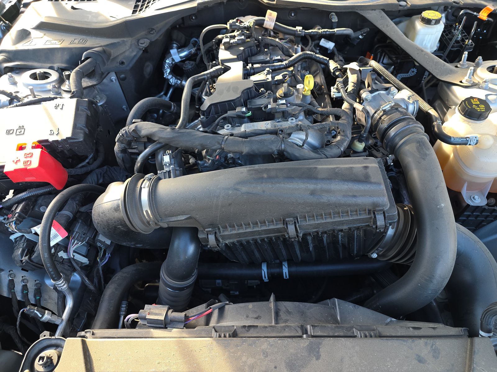 2024 Ford Mustang EcoBoost Premium RWD