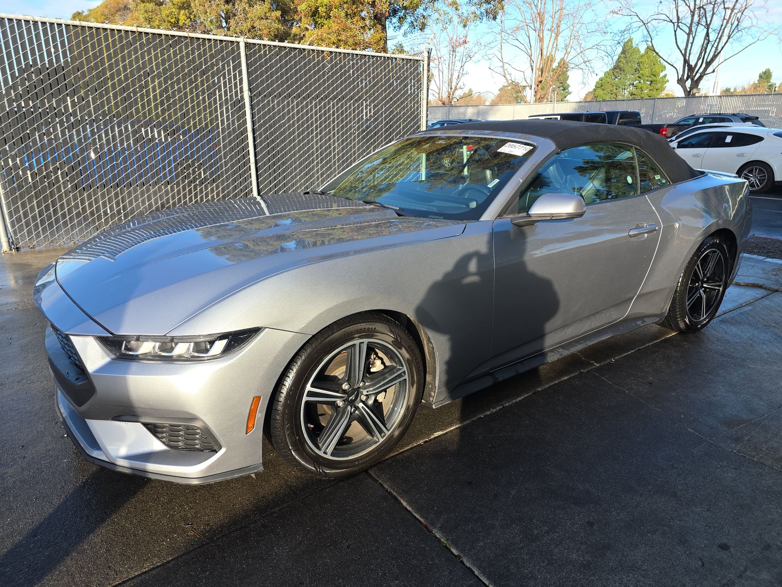 2024 Ford Mustang EcoBoost Premium RWD