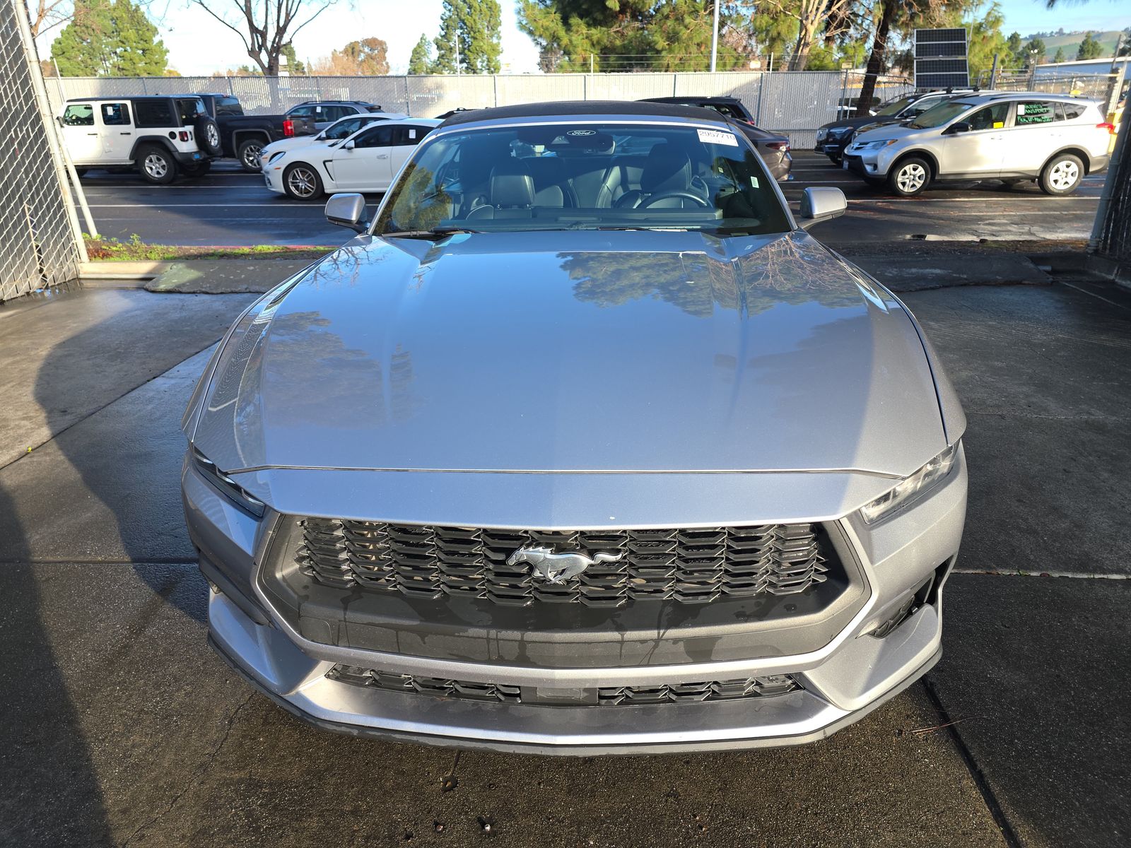 2024 Ford Mustang EcoBoost Premium RWD