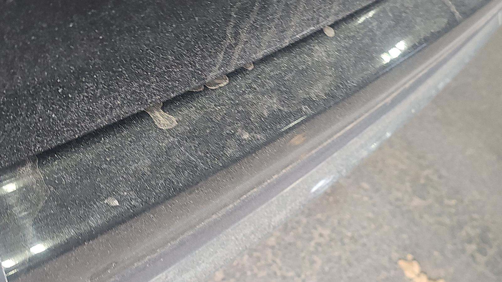 2025 Mercedes-Benz GLE GLE 350 AWD