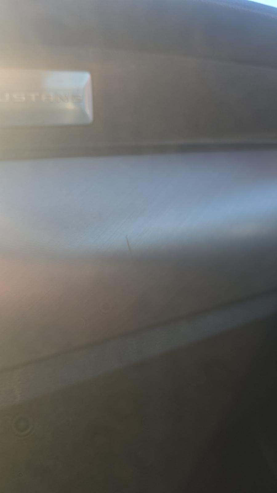 2023 Ford Mustang EcoBoost Premium RWD