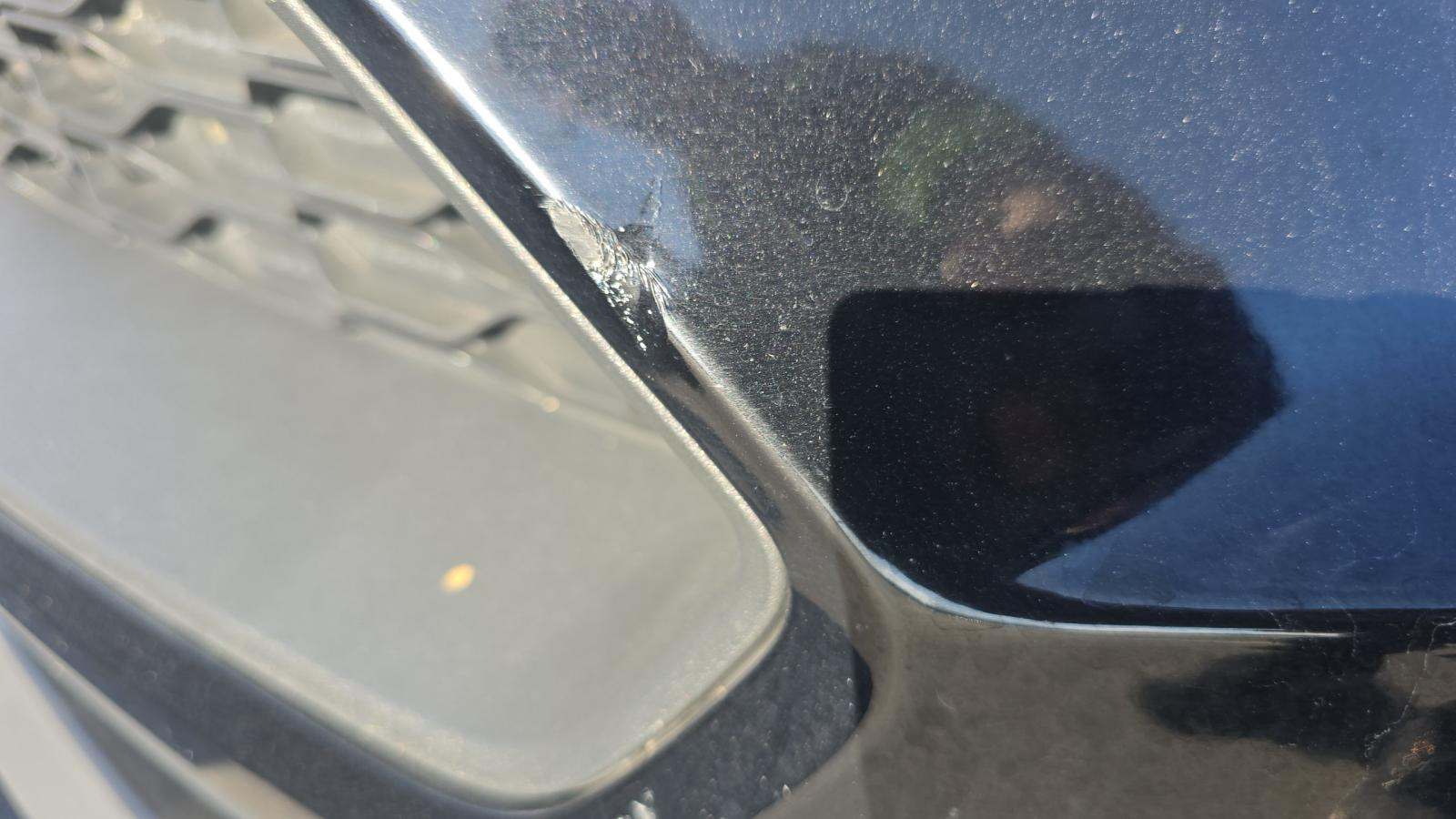 2023 Ford Mustang EcoBoost Premium RWD