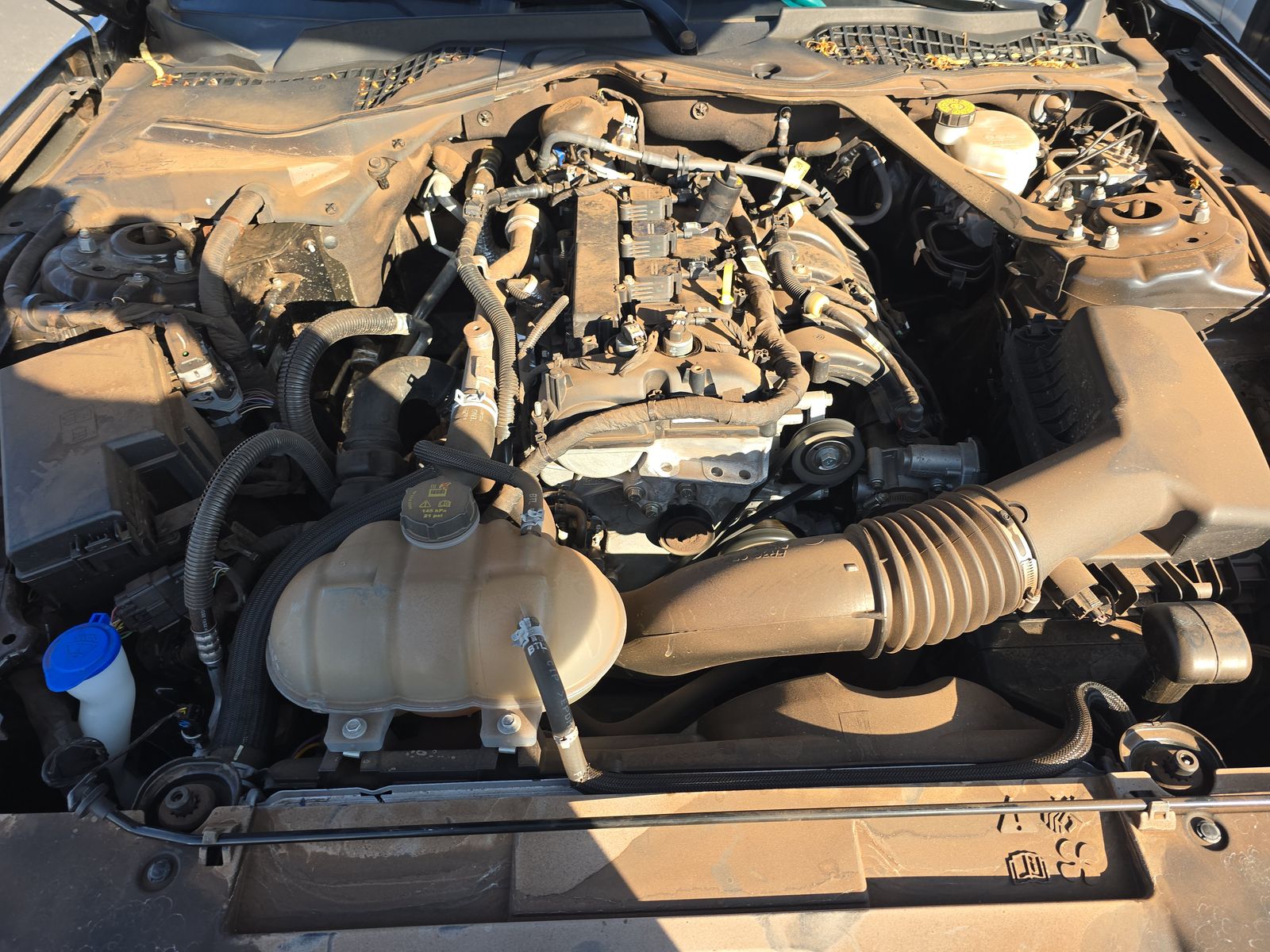 2023 Ford Mustang EcoBoost Premium RWD