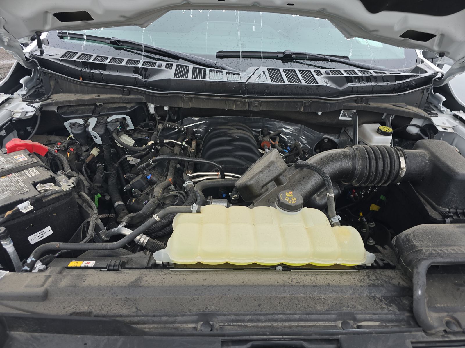 2025 Ford F-150 XLT AWD