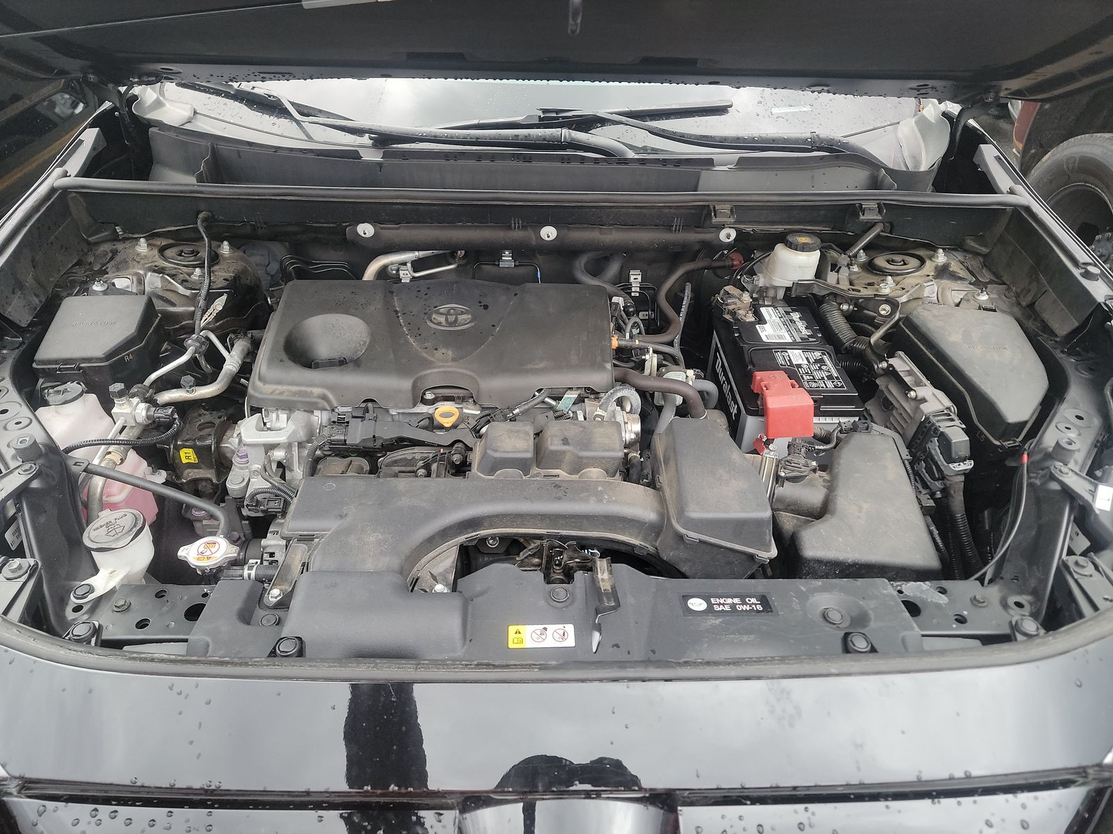 2022 Toyota RAV4 XLE FWD