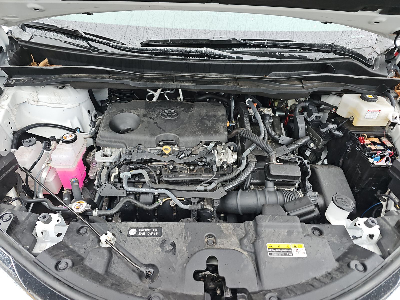 2024 Toyota Sienna LE FWD