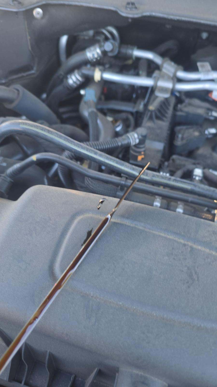 2023 Ford Explorer Timberline AWD