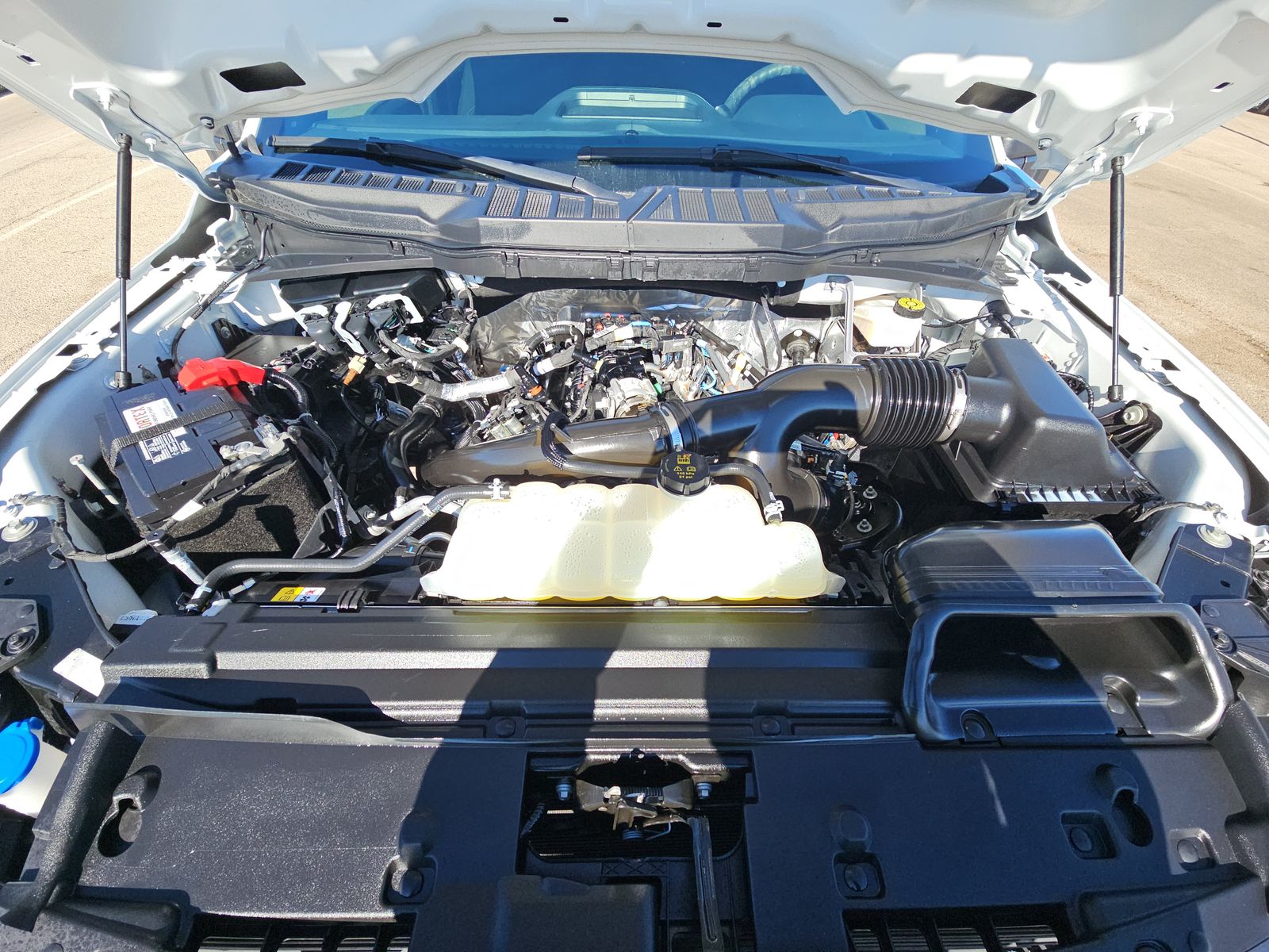 2024 Ford F-150 STX RWD