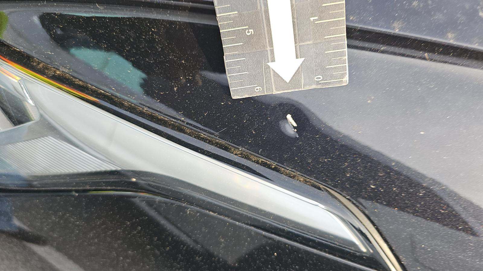 2024 Volkswagen Tiguan 2.0T SE FWD