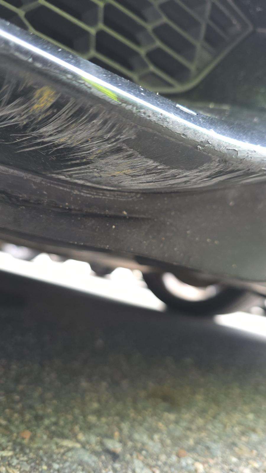 2015 BMW M4 Base RWD