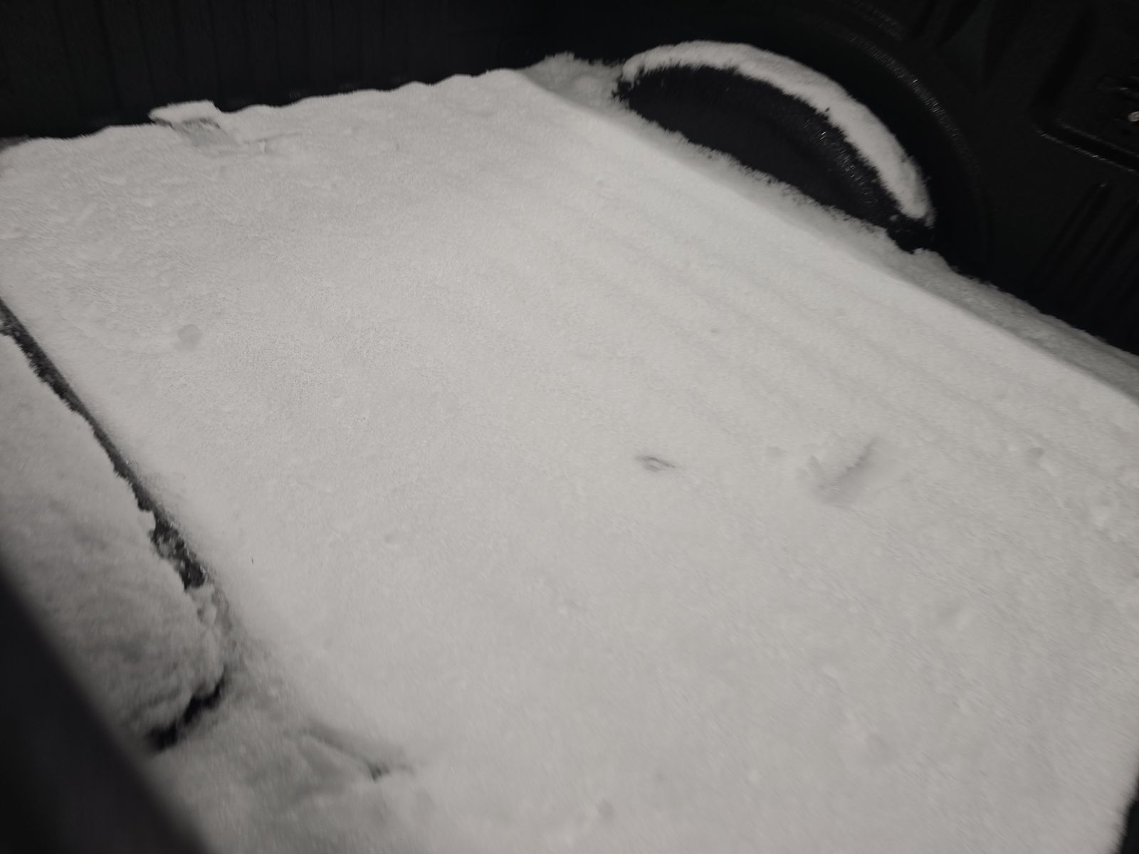 2023 Ford F-150 Tremor AWD