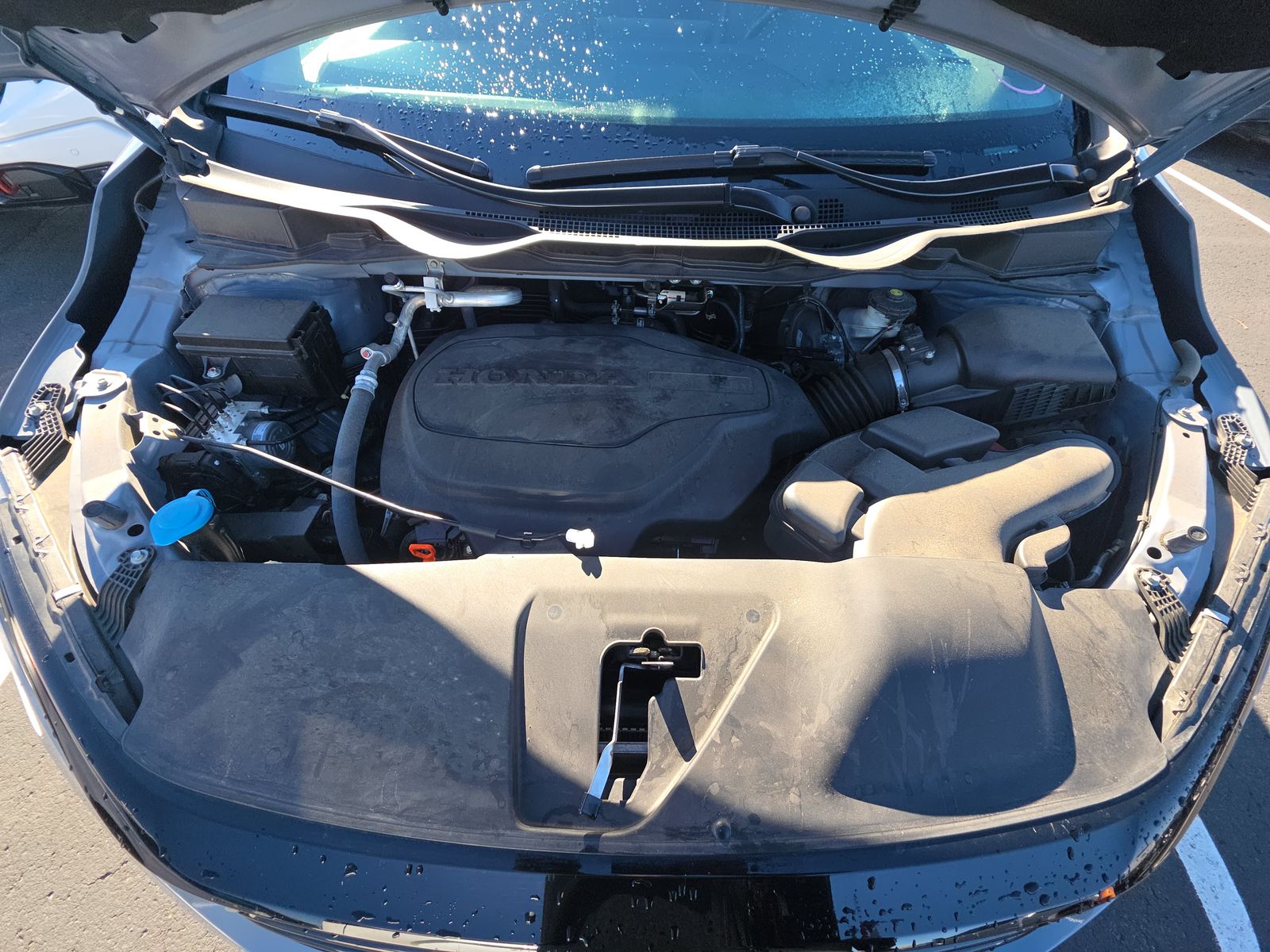 2024 Honda Odyssey Sport FWD