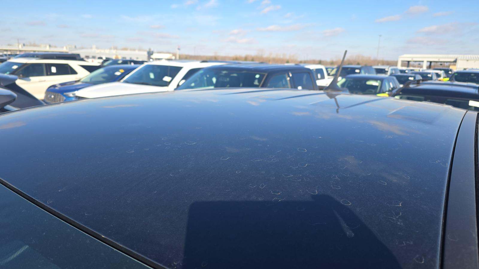 2025 Ford Ranger XLT AWD