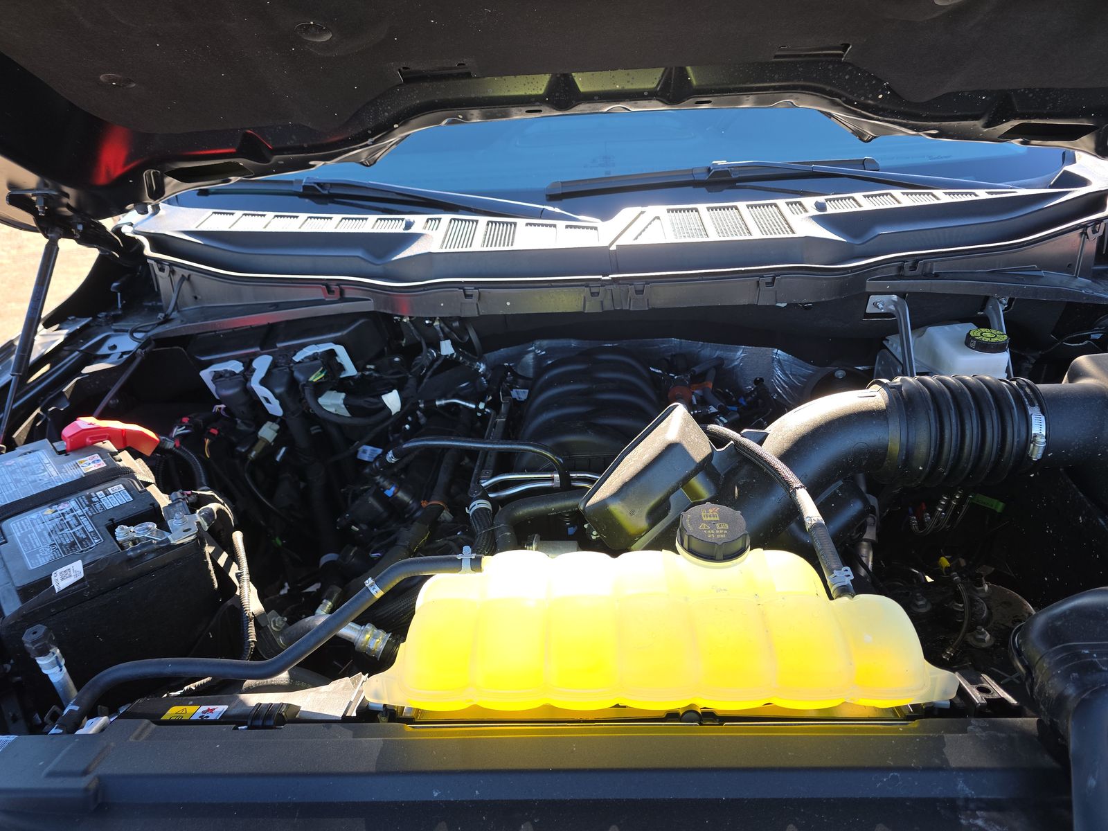 2025 Ford F-150 XLT AWD