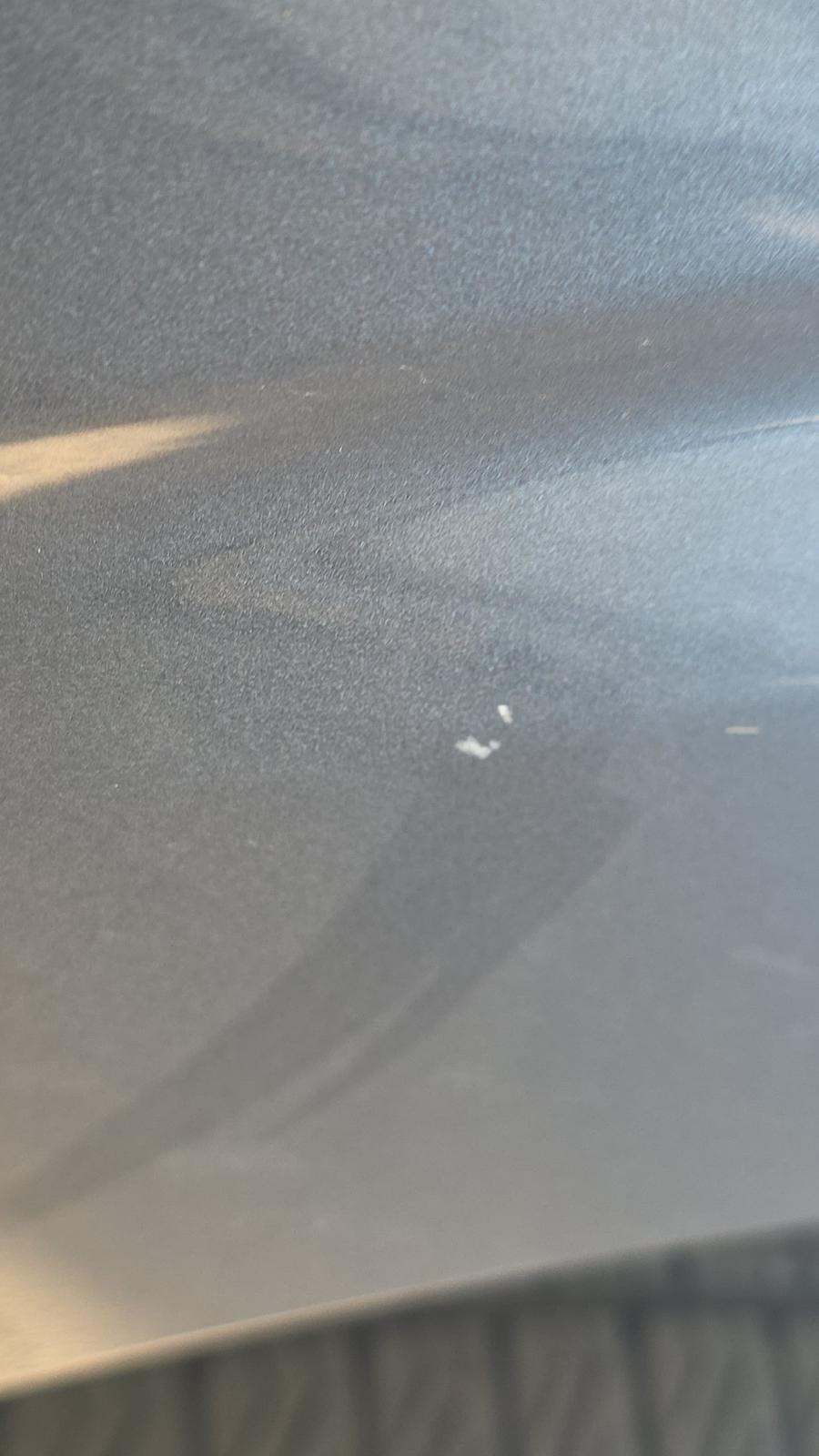 2024 Ford F-150 STX RWD