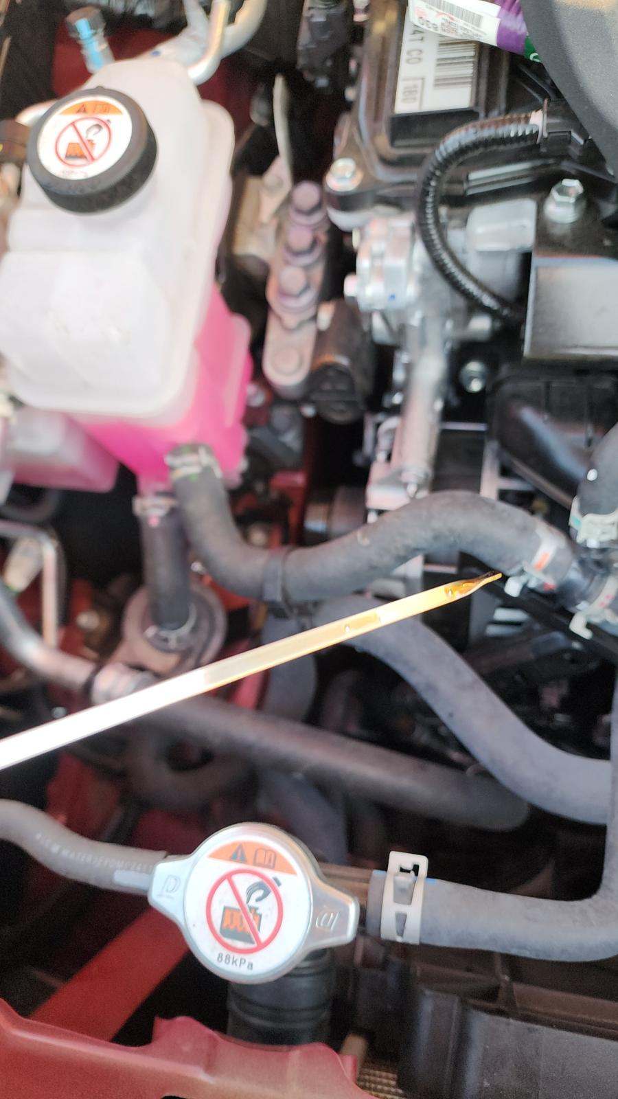 2025 Toyota Highlander XLE FWD