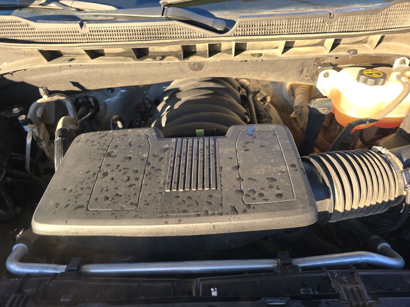 2024 Chevrolet Silverado 1500 LT Trail Boss AWD