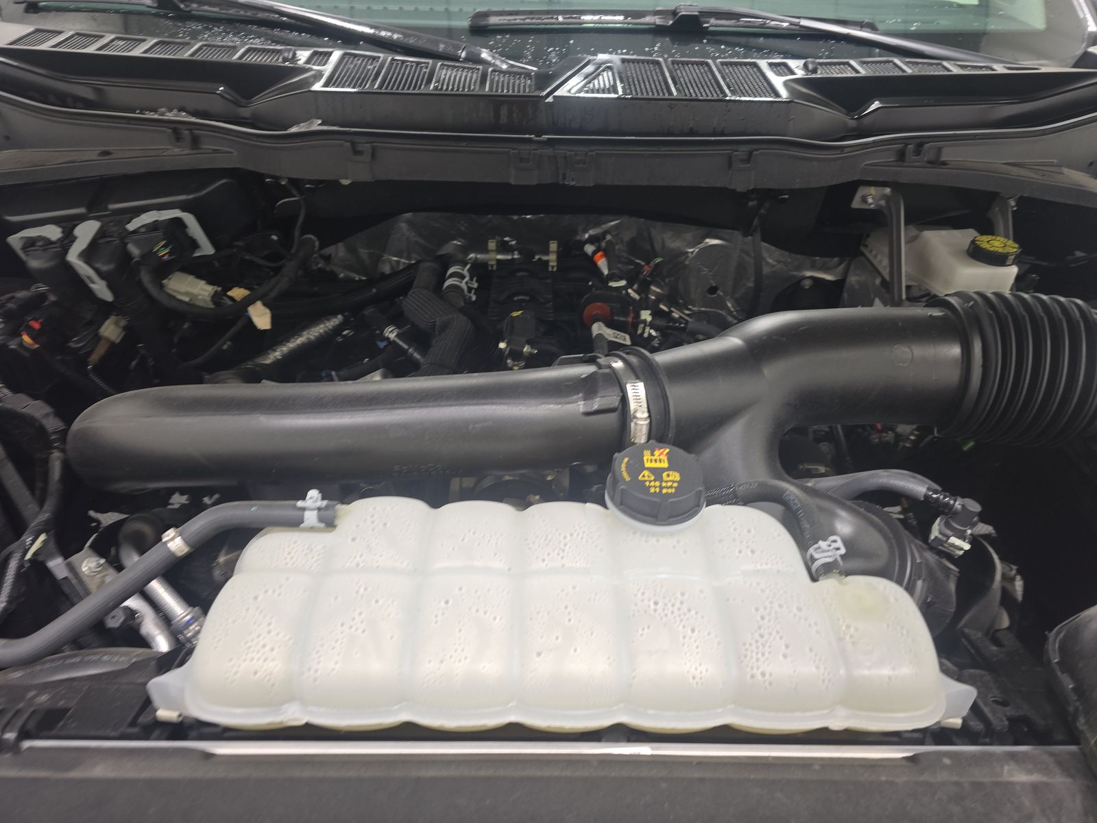 2025 Ford F-150 XLT AWD