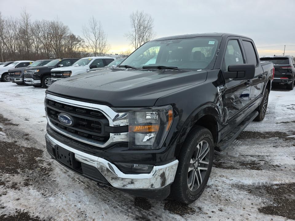 2023 Ford F-150 XLT AWD