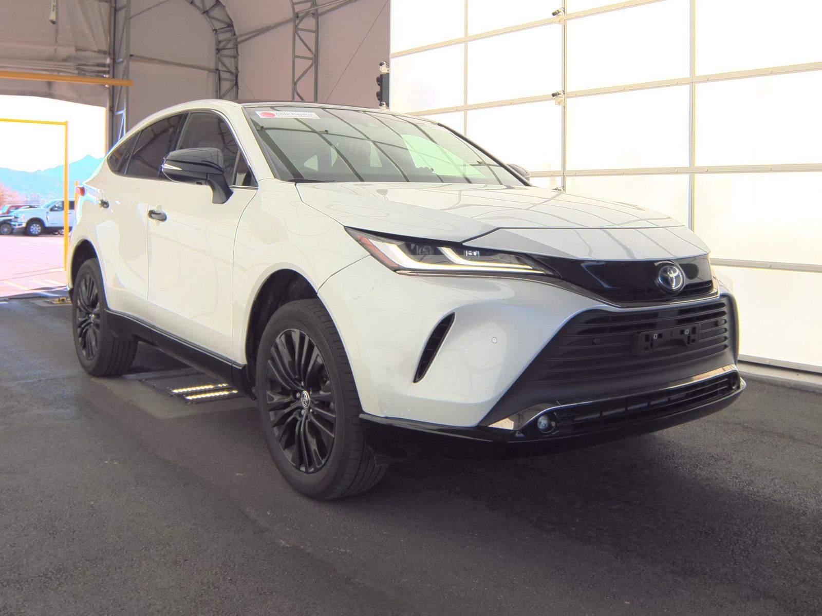 2024 Toyota Venza XLE AWD