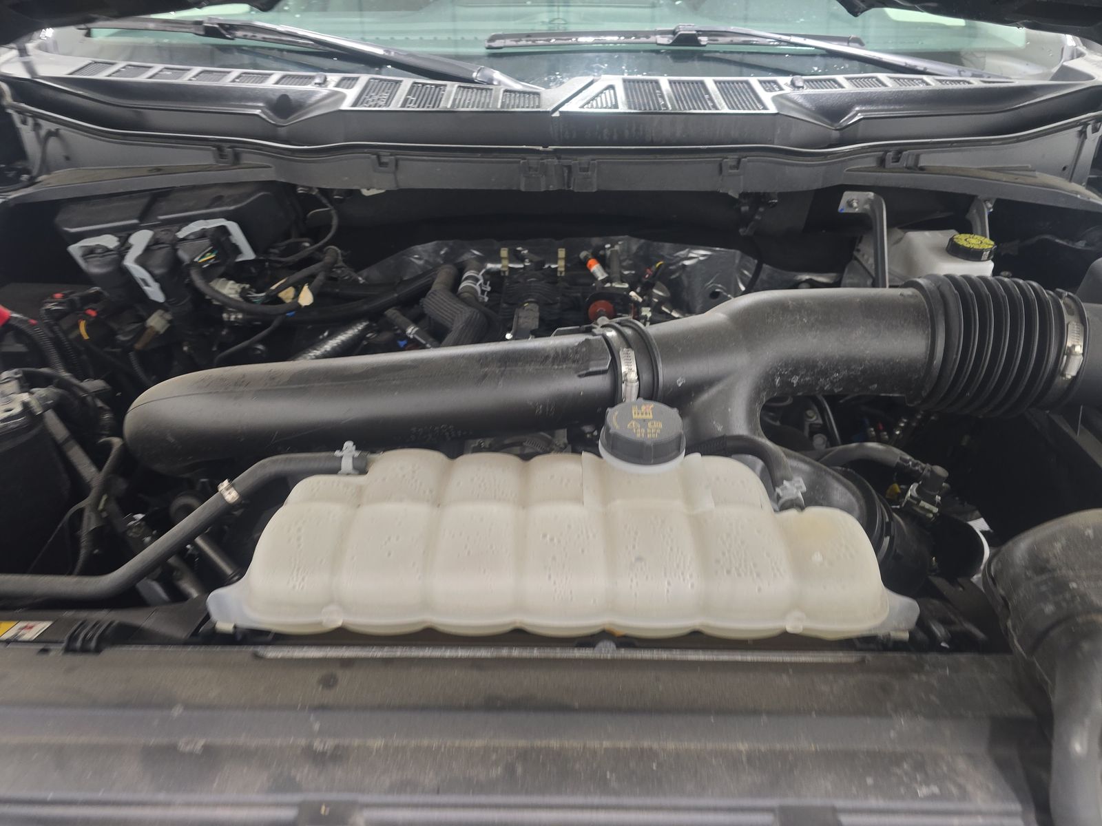 2025 Ford F-150 XLT AWD