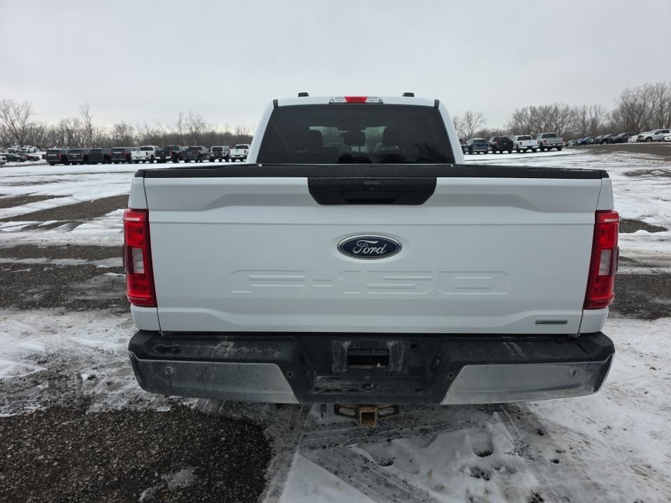 2023 Ford F-150 XLT AWD