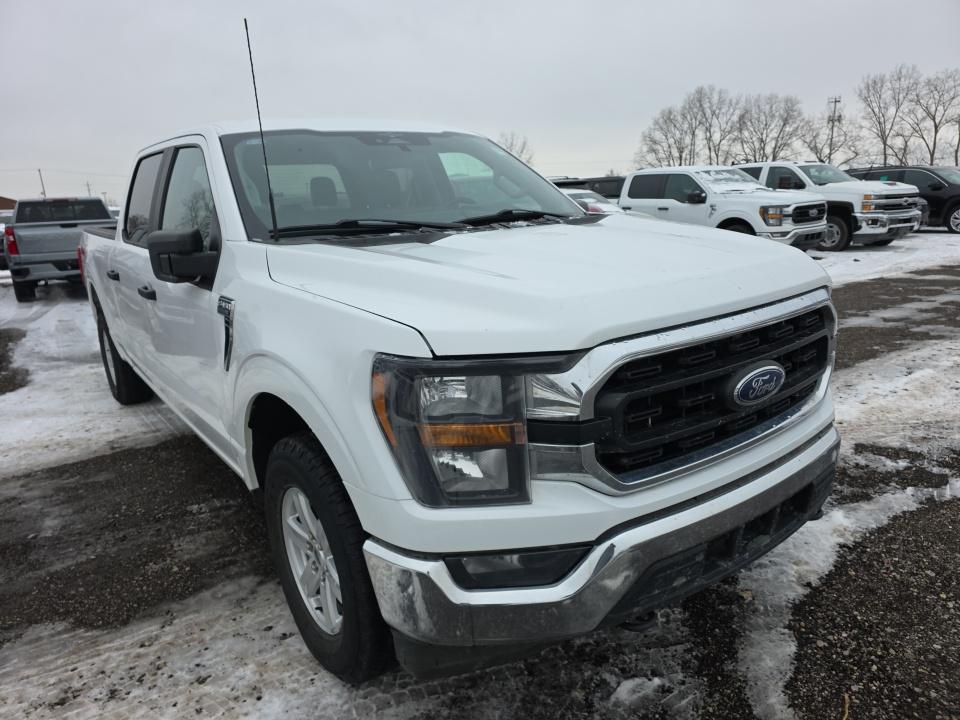 2023 Ford F-150 XLT AWD