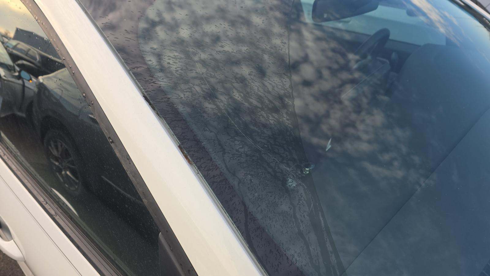 2023 Ford Escape Hybrid ST-Line Elite AWD