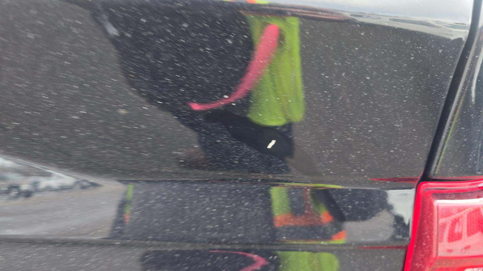 2024 Ford F-150 XLT AWD