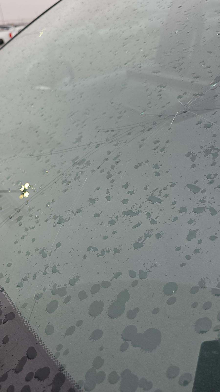 2025 Toyota Sienna XLE FWD