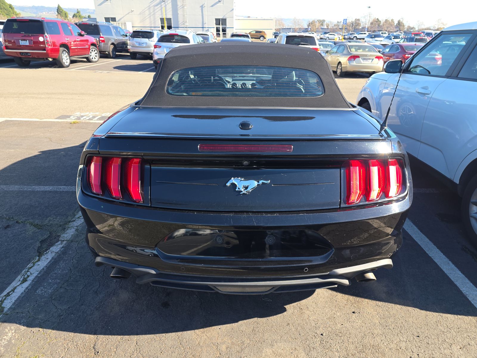 2023 Ford Mustang EcoBoost Premium RWD